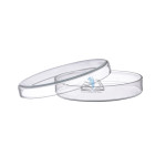 Bacteriological Petri Dish
